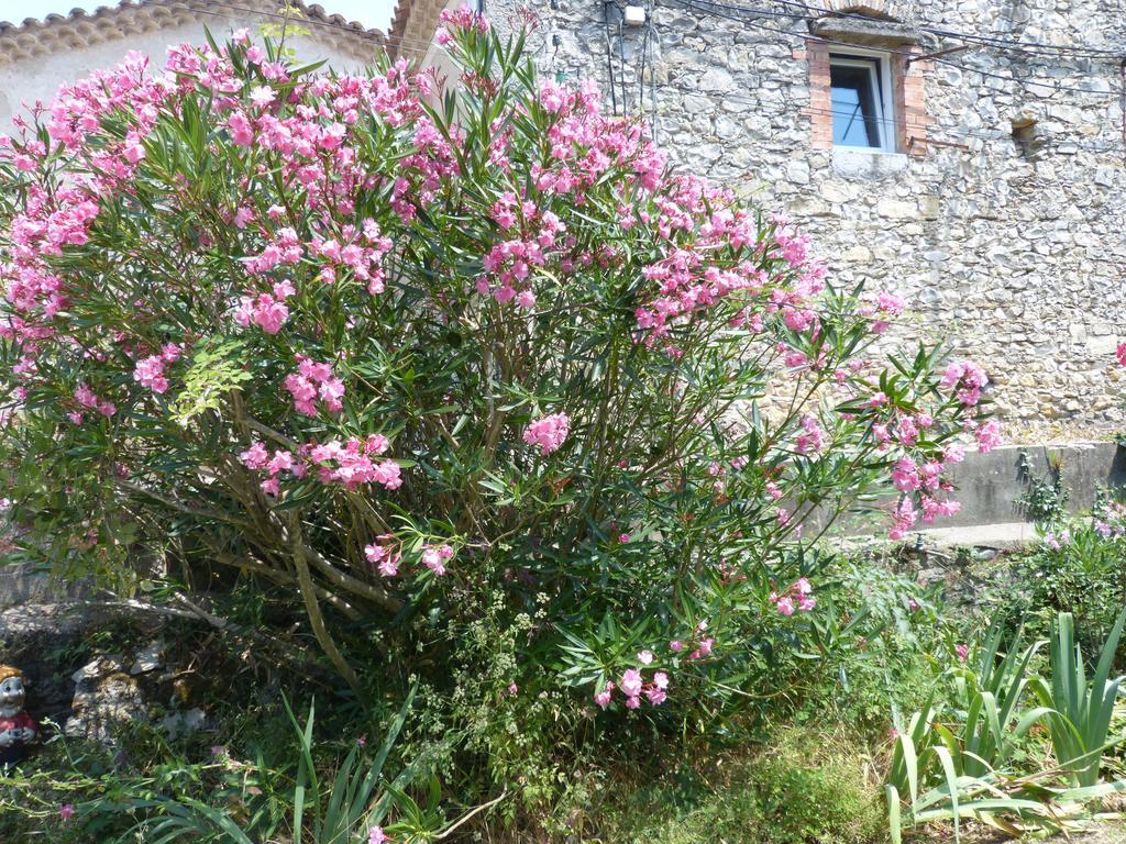 Bed and Breakfast Mas Moise Sauve Exterior foto